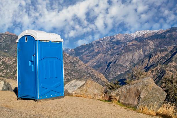 Best Porta potty delivery and setup  in Detroit Lakes, MN