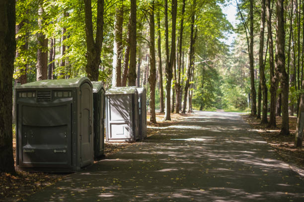 Best High-end porta potty rental  in Detroit Lakes, MN
