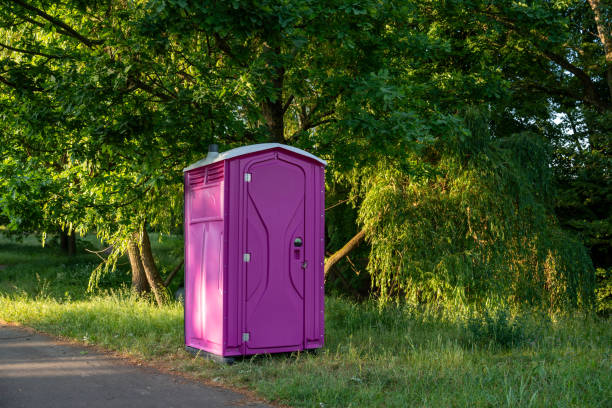 Best Portable toilet rental cost  in Detroit Lakes, MN